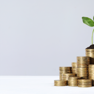 Fixed Deposits
